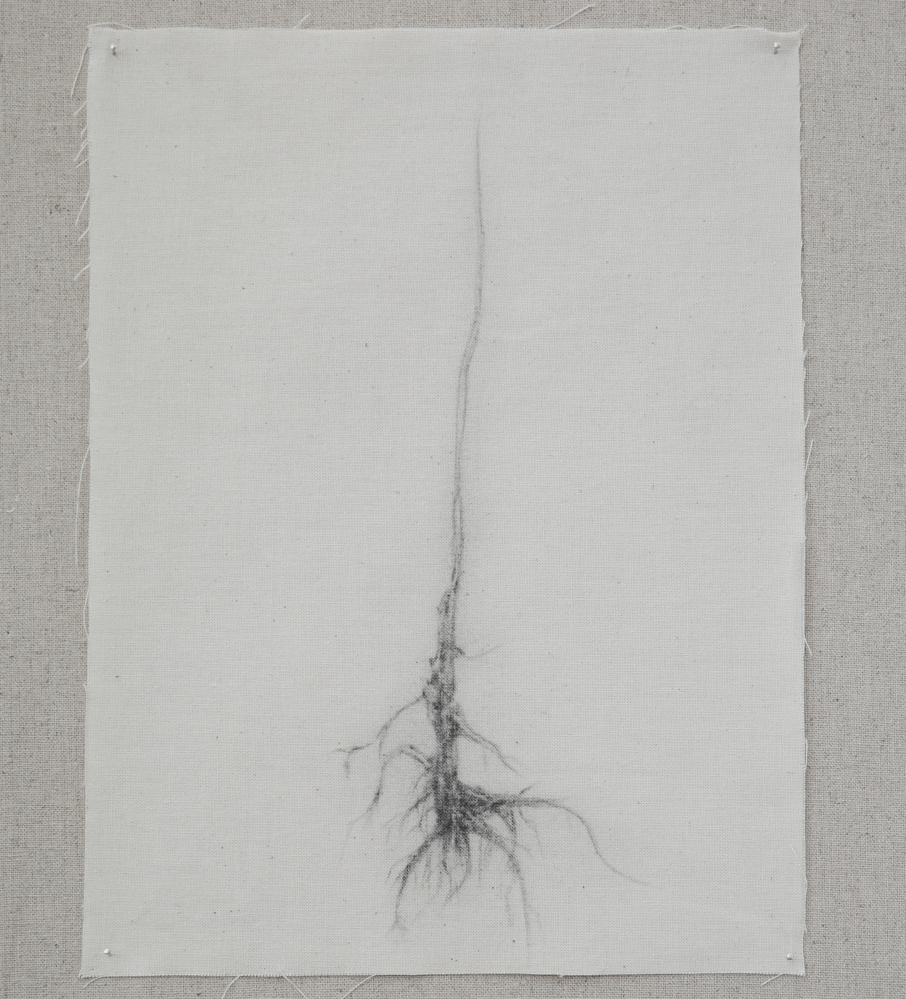 La Vie Nomade series 2
Charcoal on canvas
26.5x17.5cm
2026