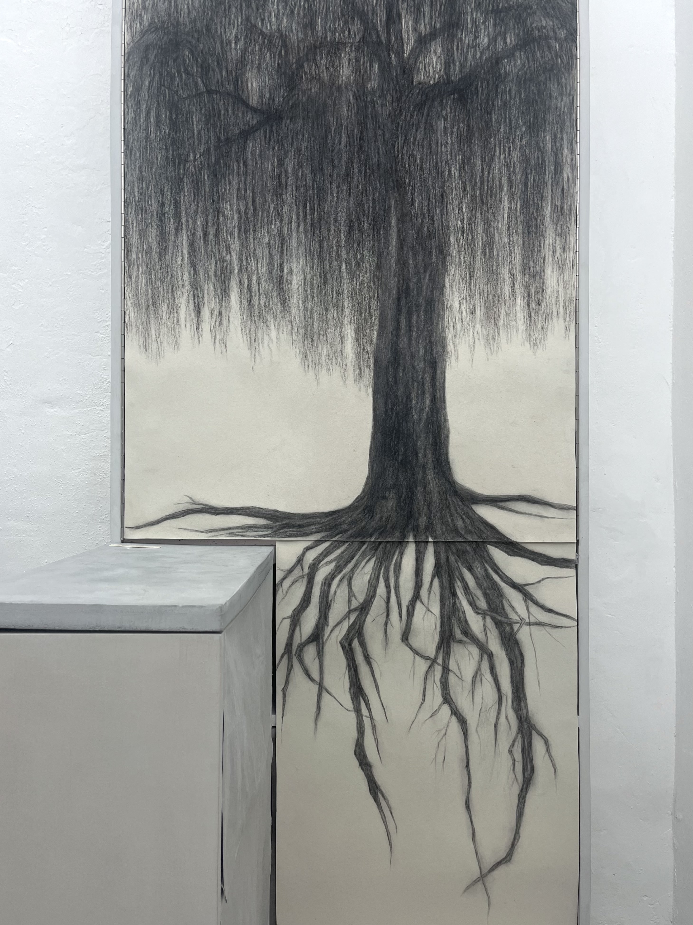 Album image 3