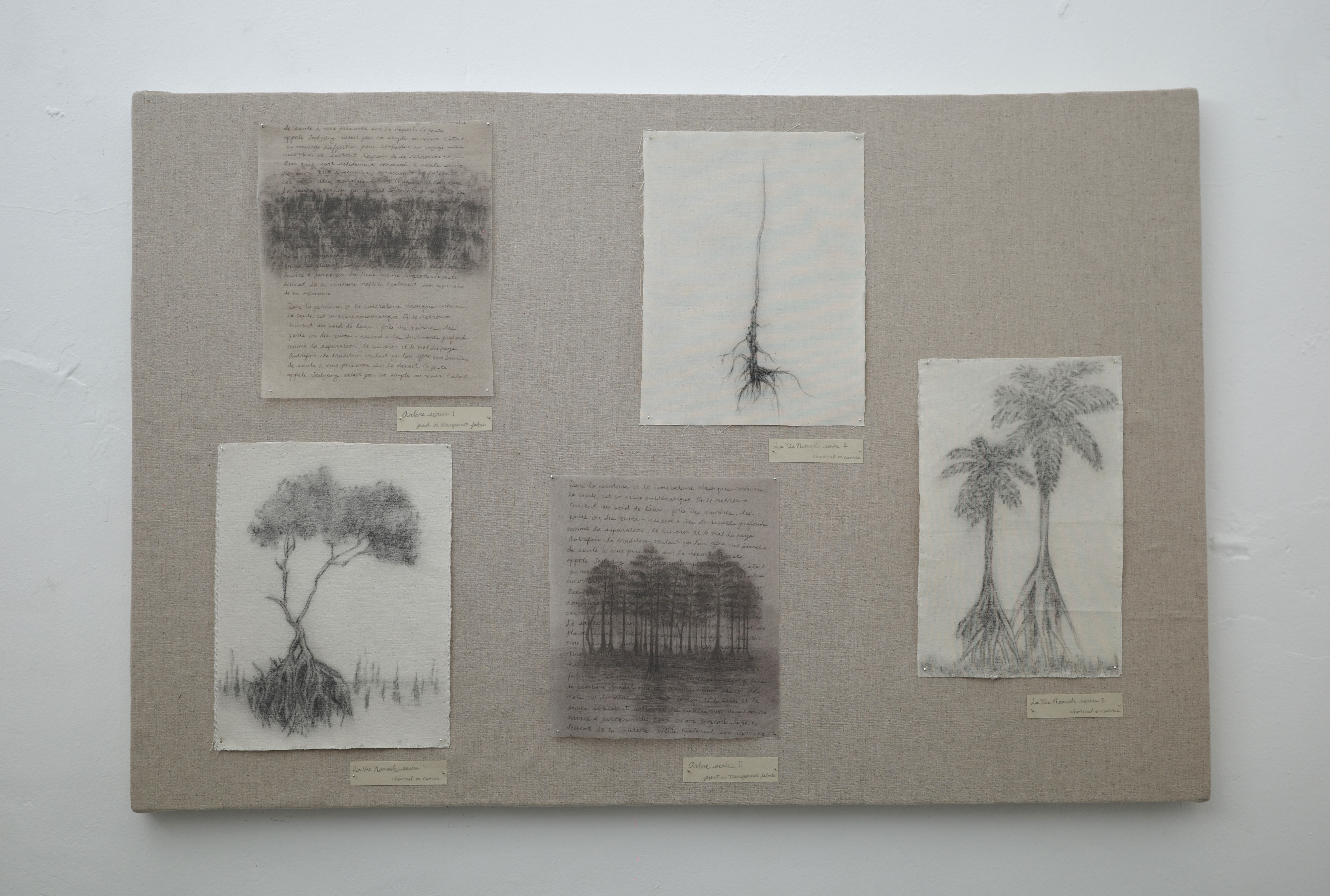 Archive image 5