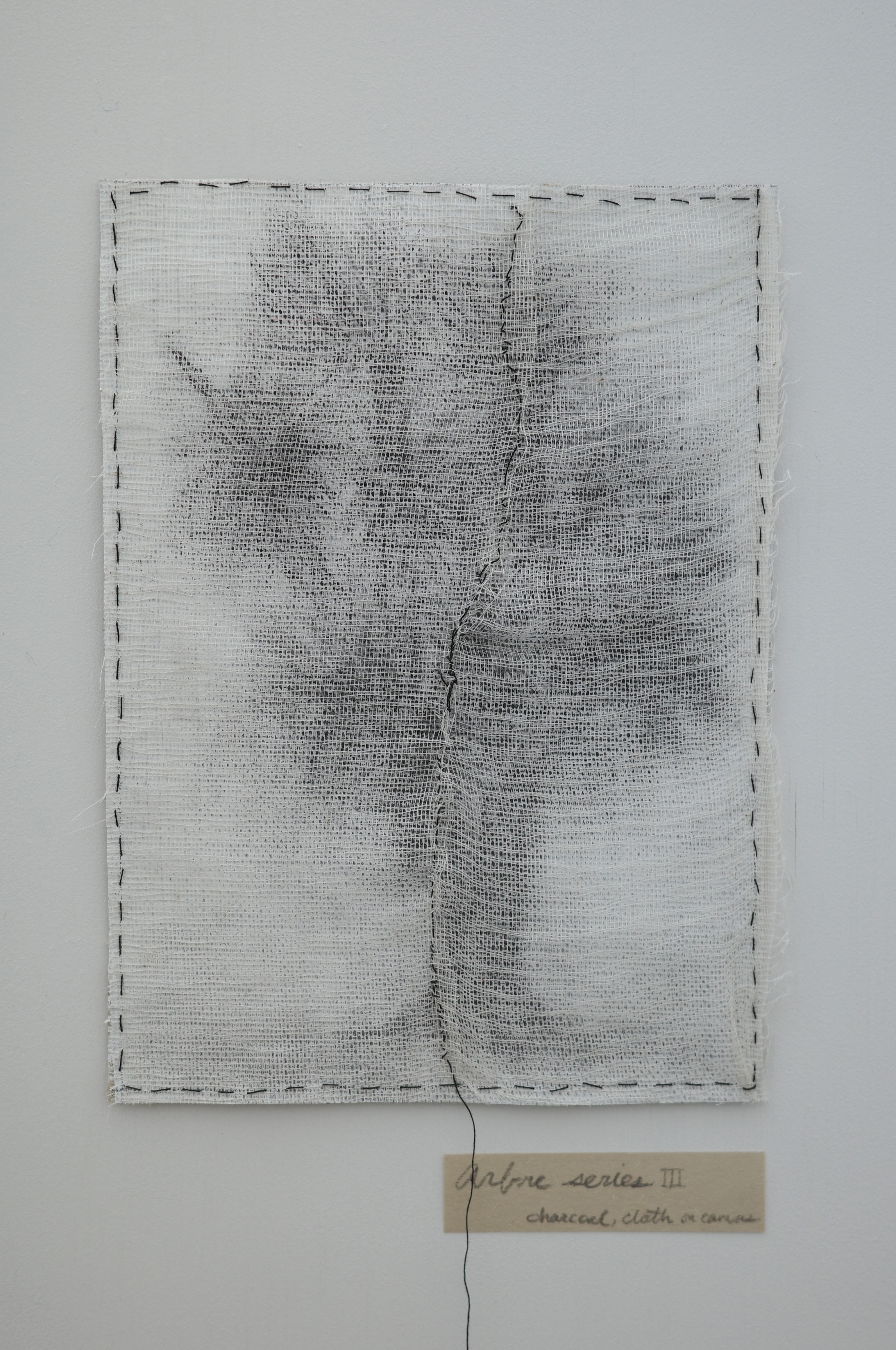 Arbre series III

Charcoal, cloth on canvas
33x24cm
2026